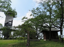 淡洲神社