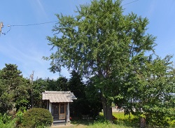 弁天神社