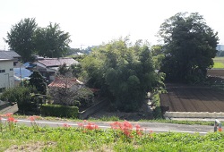 江田稲荷神社