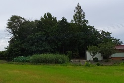 古谷神社