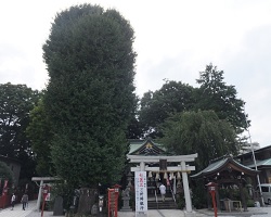 川越八幡神社