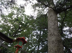 熊野神社