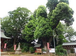 三芳野神社