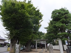 並木氷川神社