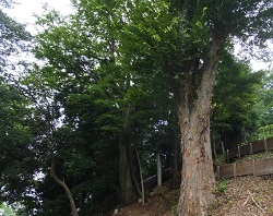 愛宕神社