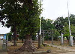 獅子宮氷川神社