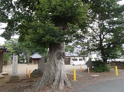 観音寺