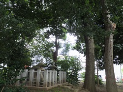 氷川神社