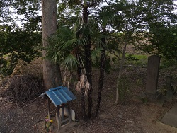 上寺田稲荷神社