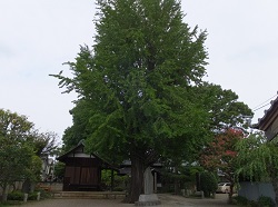 東明寺