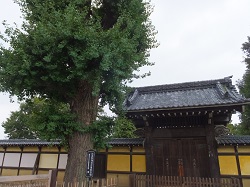 養寿院