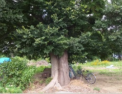 豊田町2丁目