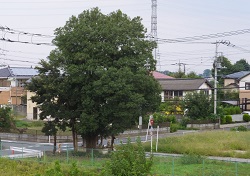 上寺田稲荷神社