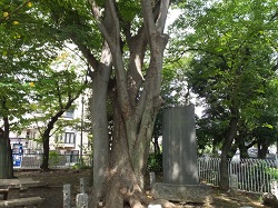 浮嶋稲荷神社