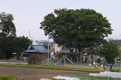 八咫神社