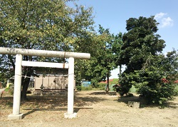 氷川神社