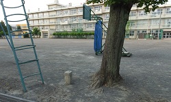 泉小学校