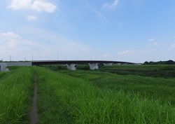 朝霞大橋