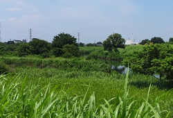 朝霞大橋