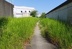 新河岸大橋