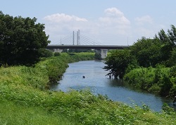 黒目川合流点