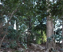 御岳山神社