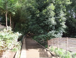 氷川神社