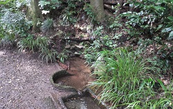 氷川神社