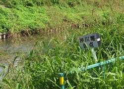 砂川堀