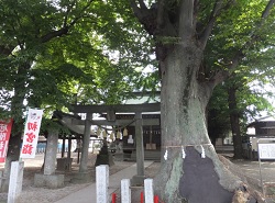 諏訪神社