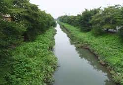 精神場橋