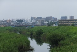 新扇橋