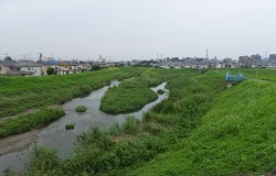 新扇橋