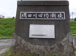 防潮堤