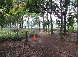 小金井公園