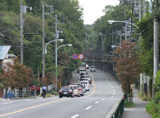 小金井街道