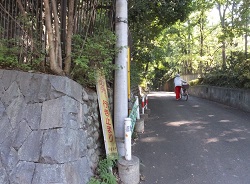 小金井街道