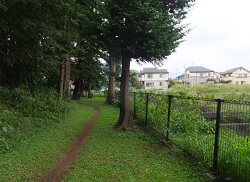 小金井公園