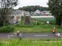 水道道路