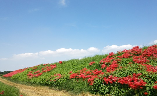 鎌取橋